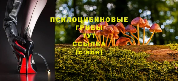 герыч Магас